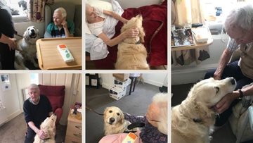 Somerset care home Residents greet furry friend